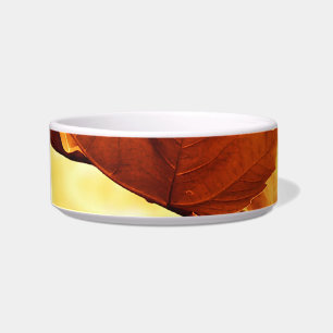 Autumn Bowl