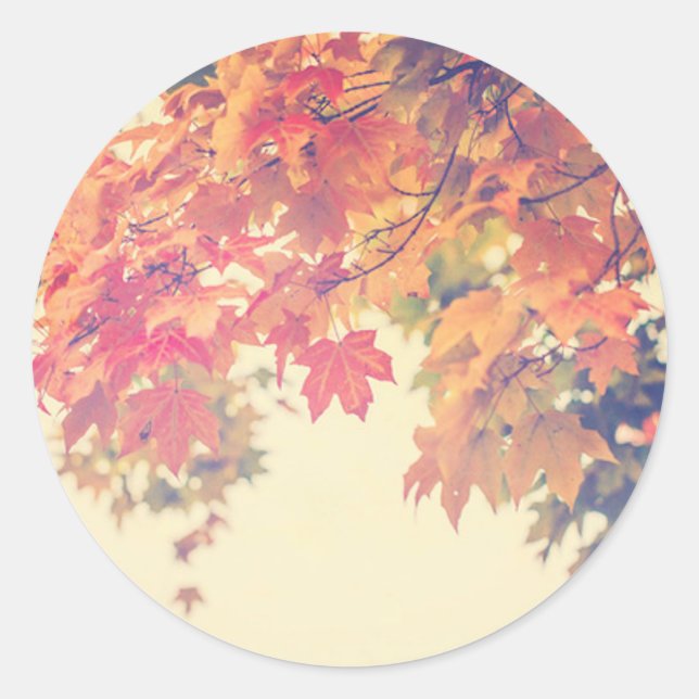 Autumn Breeze Classic Round Sticker (Front)