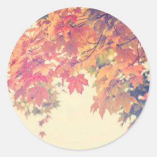 Autumn Breeze Classic Round Sticker