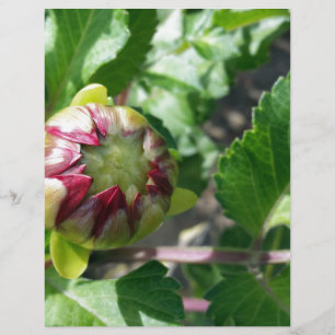 autumn bud