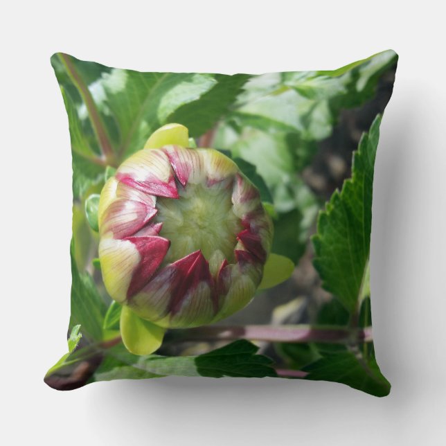 autumn bud cushion (Front)