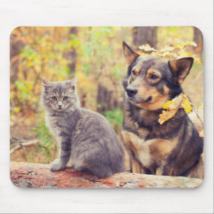 Autumn Buddies: Gray Kitten and Happy Puppy Mouse Pad