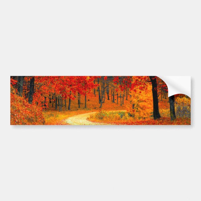 AUTUMN bumper sticker. Bumper Sticker (Front)
