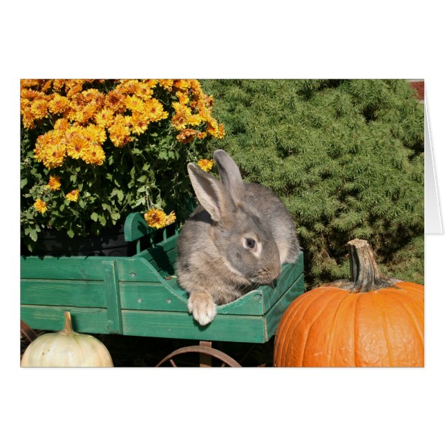 Autumn bunny (Front Horizontal)