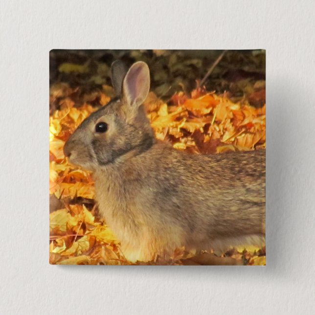 Autumn Bunny 15 Cm Square Badge (Front)
