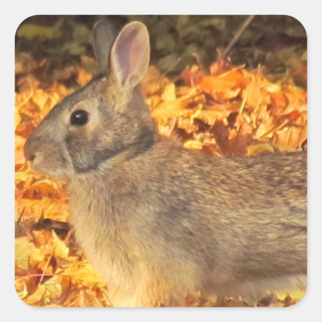 Autumn Bunny Square Sticker (Front)