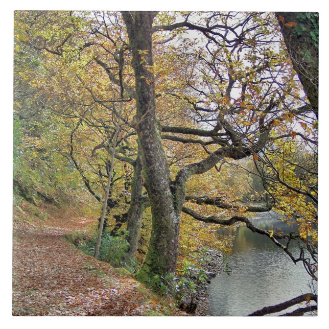 AUTUMN BY THE LAKE TILE (Front)