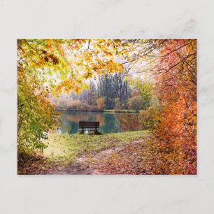 Autumn by the Park Pond - Fall Leaves Postcard