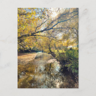 Autumn by the river postcard