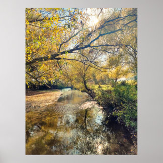 Autumn by the river poster