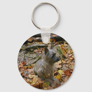 Autumn Cairn Keychain