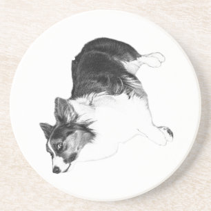 Autumn Calm in Loyal Eyes Coaster
