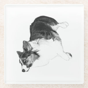 Autumn Calm in Loyal Eyes Glass Coaster