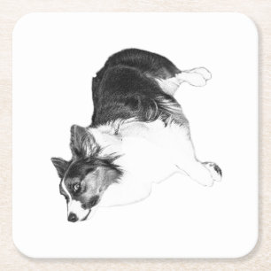 Autumn Calm in Loyal Eyes Square Paper Coaster