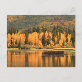Autumn Calm Postcard