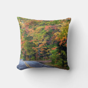 Autumn Canopy Of Colour Along Highway 41 2 Cushion