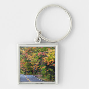 Autumn Canopy Of Colour Along Highway 41 2 Key Ring