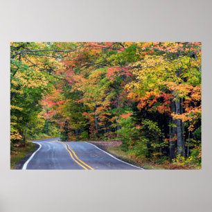 Autumn Canopy Of Colour Along Highway 41 2 Poster
