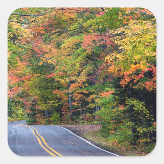 Autumn Canopy Of Colour Along Highway 41 2 Square Sticker (Front)