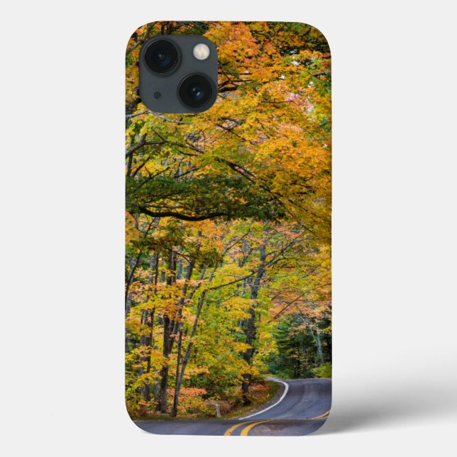 Autumn Canopy Of Colour Along Highway 41 Case-Mate iPhone Case (Back)