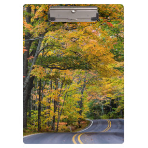 Autumn Canopy Of Colour Along Highway 41 Clipboard
