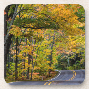 Autumn Canopy Of Colour Along Highway 41 Coaster