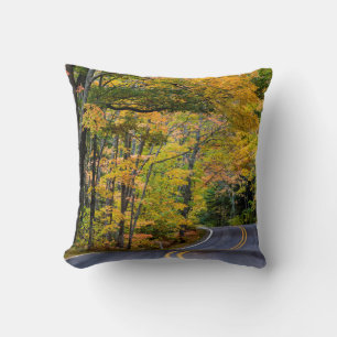 Autumn Canopy Of Colour Along Highway 41 Cushion