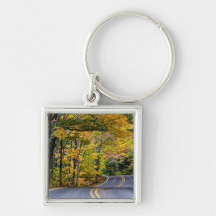 Autumn Canopy Of Colour Along Highway 41 Key Ring
