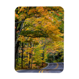 Autumn Canopy Of Colour Along Highway 41 Magnet
