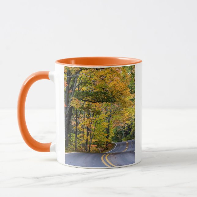 Autumn Canopy Of Colour Along Highway 41 Mug (Left)
