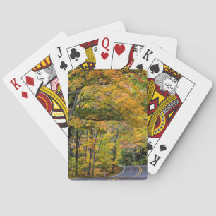 Autumn Canopy Of Colour Along Highway 41 Playing Cards