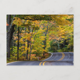 Autumn Canopy Of Colour Along Highway 41 Postcard