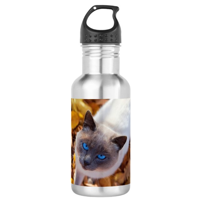 Autumn Cat 710 Ml Water Bottle (Front)