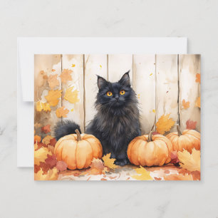 Autumn Cat and Pumpkins Postcard