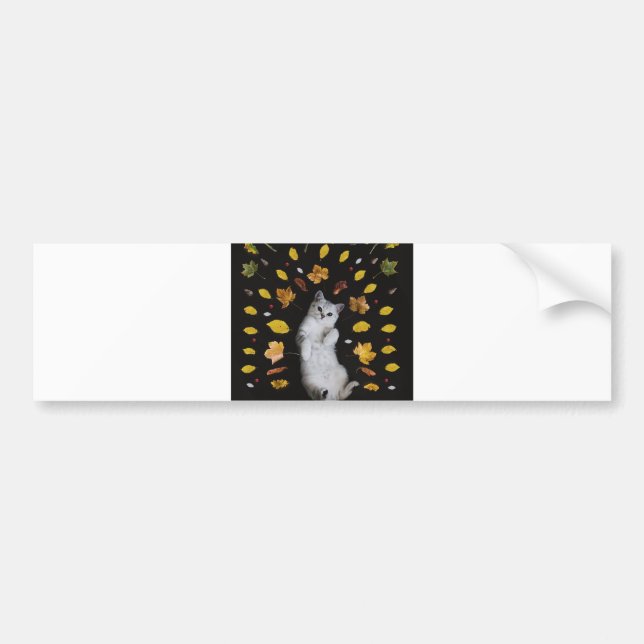 autumn cat bumper sticker (Front)