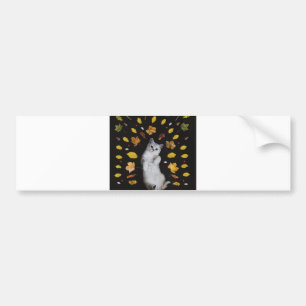 autumn cat bumper sticker