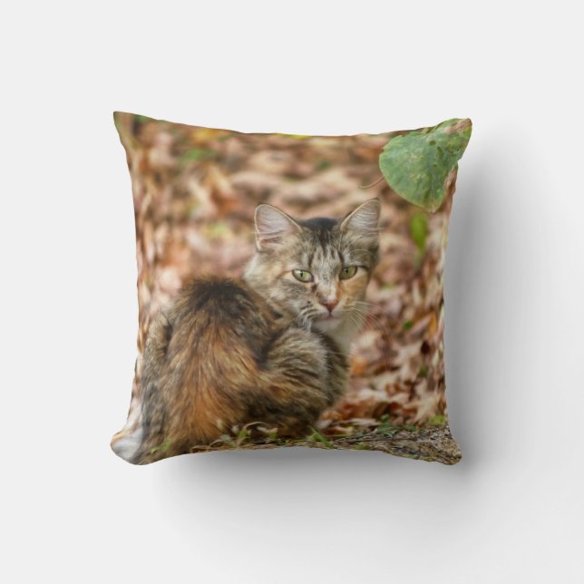Autumn Cat Cushion (Front)