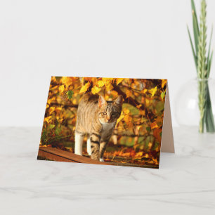 autumn cat greeting card