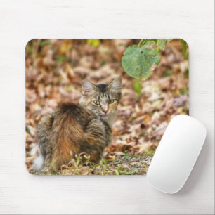 Autumn Cat Mouse Pad
