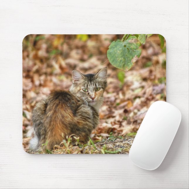 Autumn Cat Mouse Pad (With Mouse)