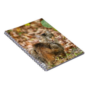 Autumn Cat Notebook