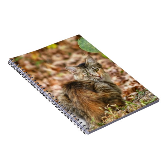 Autumn Cat Notebook (Right Side)