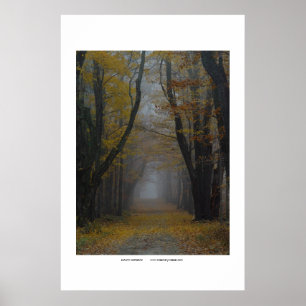 autumn cathedral poster