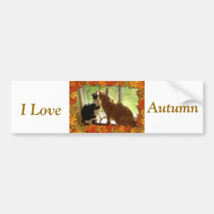 Autumn Cats I love Autumn Bumper Sticker