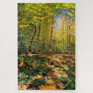 Autumn Central Park view Jigsaw Puzzle