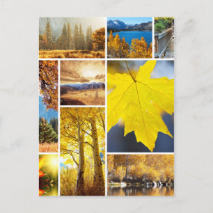 Autumn collage postcard