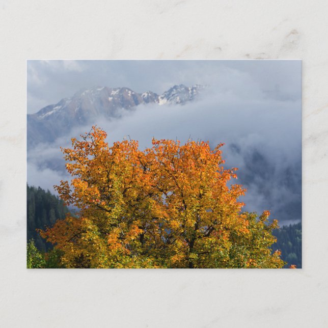 Autumn colors and mountains postcard (Front)