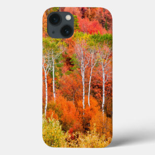 Autumn Colors In Rocky Mountains, Wyoming, USA iPhone 13 Case