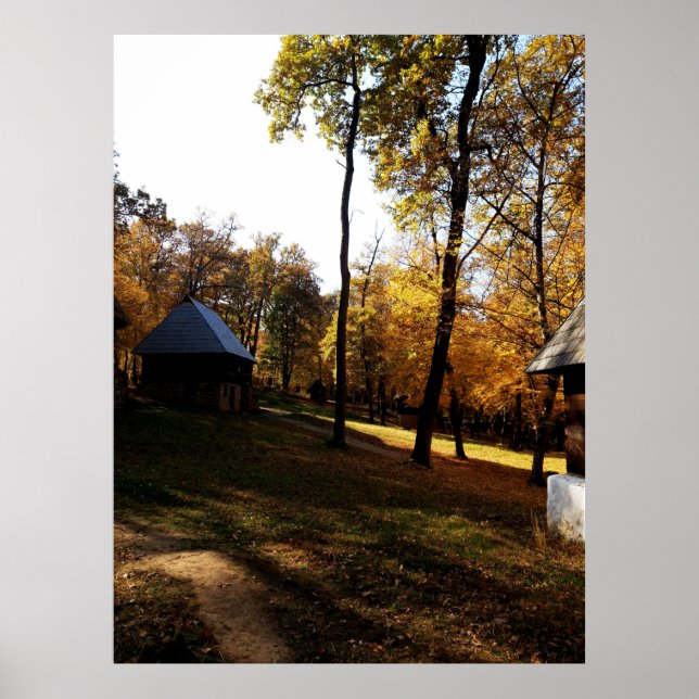 Autumn Colors in the Countryside Poster (Front)