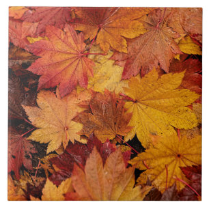 AUTUMN COLORS OF GOLD CERAMIC TILE